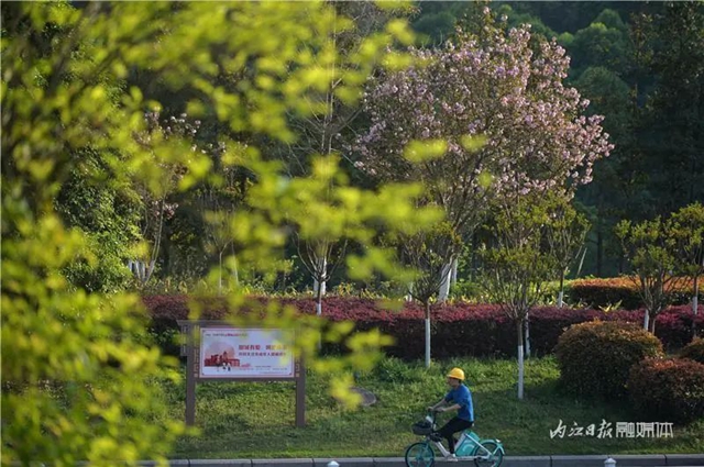 大美内江！又一条“花道”出镜(图6)