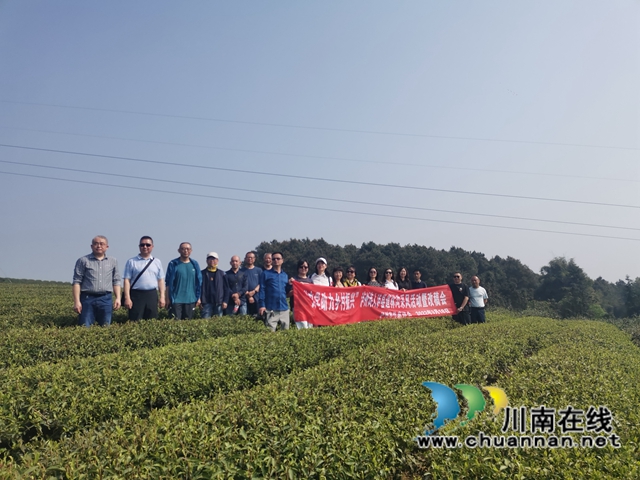 文学助力乡村振兴！泸州诗人泸县道林沟采风活动暨改稿会举行(图5)