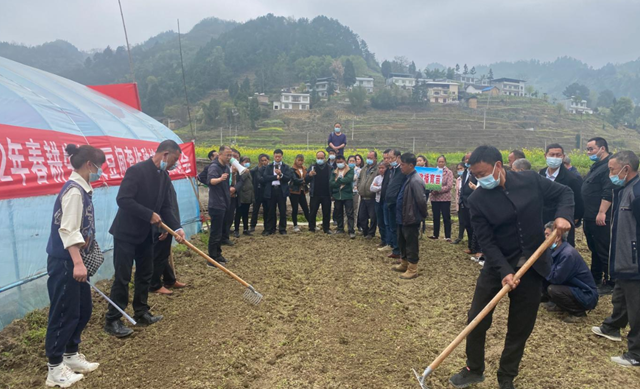 古蔺：推广漂浮育苗技术，促进高粱丰产增收(图7)