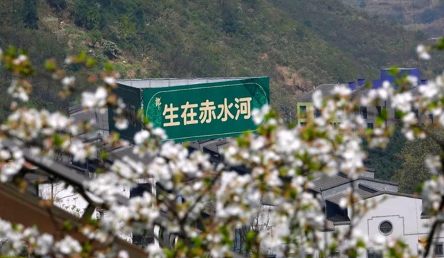 古蔺：庄园三月春意浓，万千美好藏花中(图5)