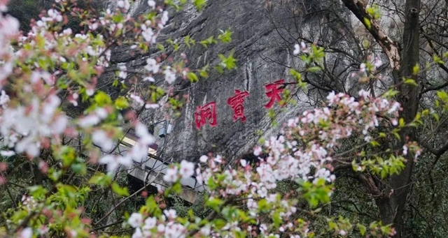 古蔺：庄园三月春意浓，万千美好藏花中(图7)