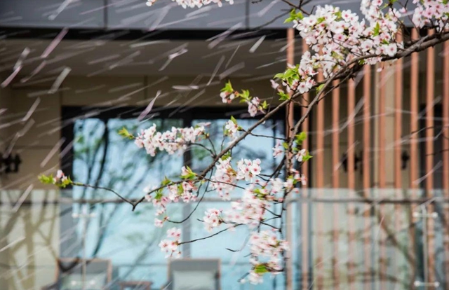 古蔺：庄园三月春意浓，万千美好藏花中(图9)