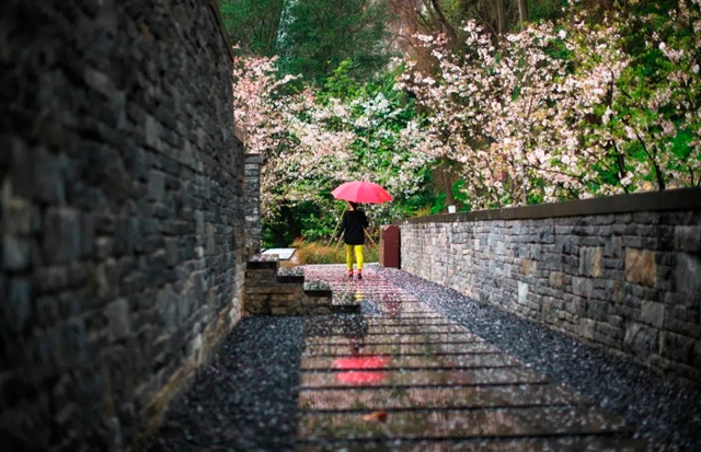 古蔺：庄园三月春意浓，万千美好藏花中(图13)