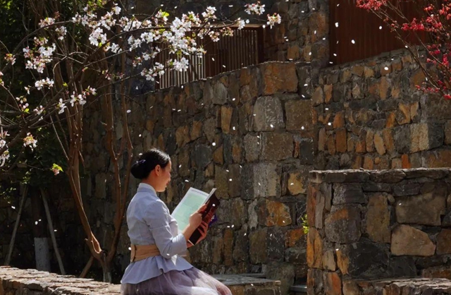 古蔺：庄园三月春意浓，万千美好藏花中(图15)