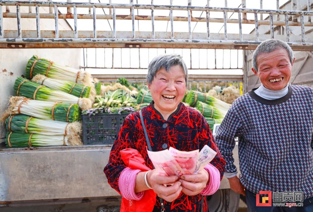 “葱”“葱”“葱”!自贡“新农人”奔向幸福路!(图8) “葱”“葱”“葱”!自贡“新农人”奔向幸福路!(图8)