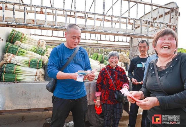 “葱”“葱”“葱”!自贡“新农人”奔向幸福路!(图2) “葱”“葱”“葱”!自贡“新农人”奔向幸福路!(图2)