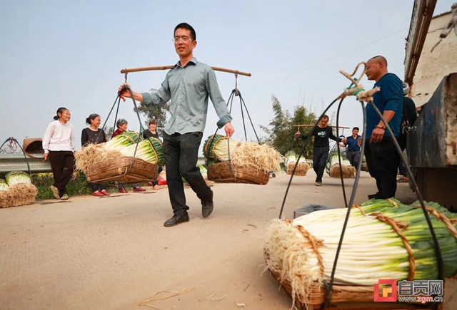 “葱”“葱”“葱”!自贡“新农人”奔向幸福路!(图6) “葱”“葱”“葱”!自贡“新农人”奔向幸福路!(图6)