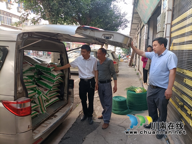 泸县：免费发放种子120吨，推广套种大豆6万亩(图1)