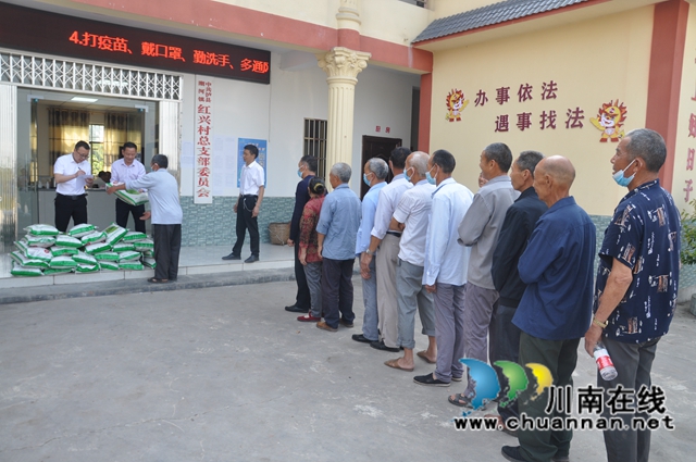 泸县：免费发放种子120吨，推广套种大豆6万亩(图3)