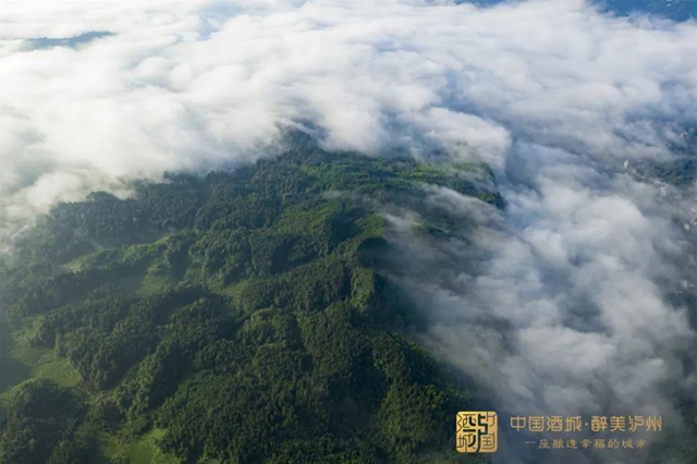 20项重点、700亿元！泸州出台“南翼方案”(图2)