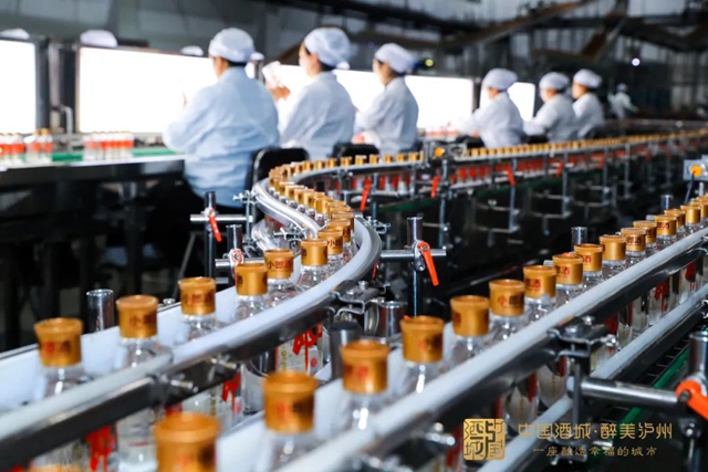 20项重点、700亿元！泸州出台“南翼方案”(图5)