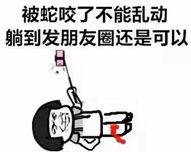 毒蛇提前“出关”,泸州两人被咬(图9) 毒蛇提前“出关”,泸州两人被咬(图9)