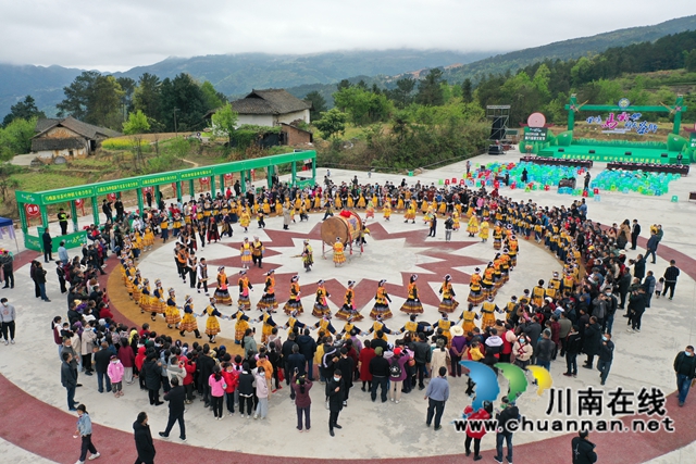 古蔺：一叶飘香四海春，万亩茶山迎客来(图8)