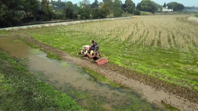 打个电话就来水，合江这个地方提灌好方便！(图6)