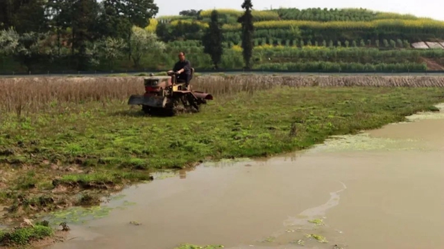 打个电话就来水，合江这个地方提灌好方便！(图5)