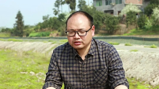 打个电话就来水，合江这个地方提灌好方便！(图7)