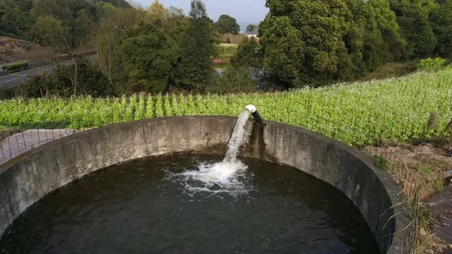 打个电话就来水，合江这个地方提灌好方便！(图8)