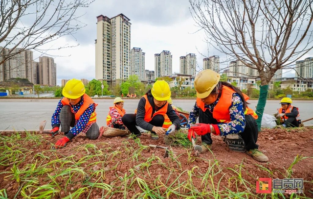 @自贡人，G348这段路实现全辐车道临时通车！(图5)