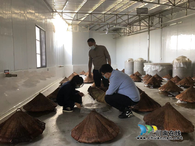 江阳区市场监管局开展酱腌菜食品生产企业开展专项检查(图1)