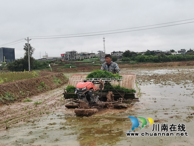 做好“农机”文章  泸县全县机插秧达30万亩(图2)