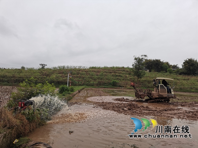 做好“农机”文章  泸县全县机插秧达30万亩(图3)