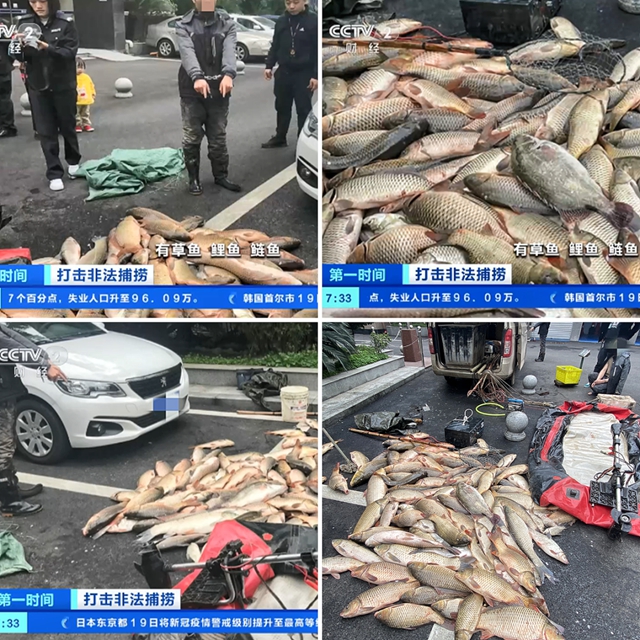 央媒关注：泸州公安“水陆空”天罗地网捕“渔夫"