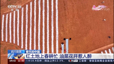 太亮眼!自贡同一地方数次登上央视!(图3) 太亮眼!自贡同一地方数次登上央视!(图3)