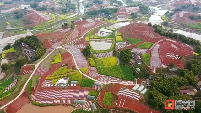 太亮眼!自贡同一地方数次登上央视!(图5) 太亮眼!自贡同一地方数次登上央视!(图5)