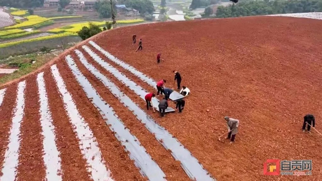 太亮眼!自贡同一地方数次登上央视!(图6) 太亮眼!自贡同一地方数次登上央视!(图6)