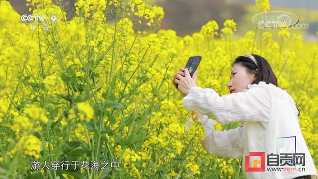 太亮眼!自贡同一地方数次登上央视!(图8) 太亮眼!自贡同一地方数次登上央视!(图8)