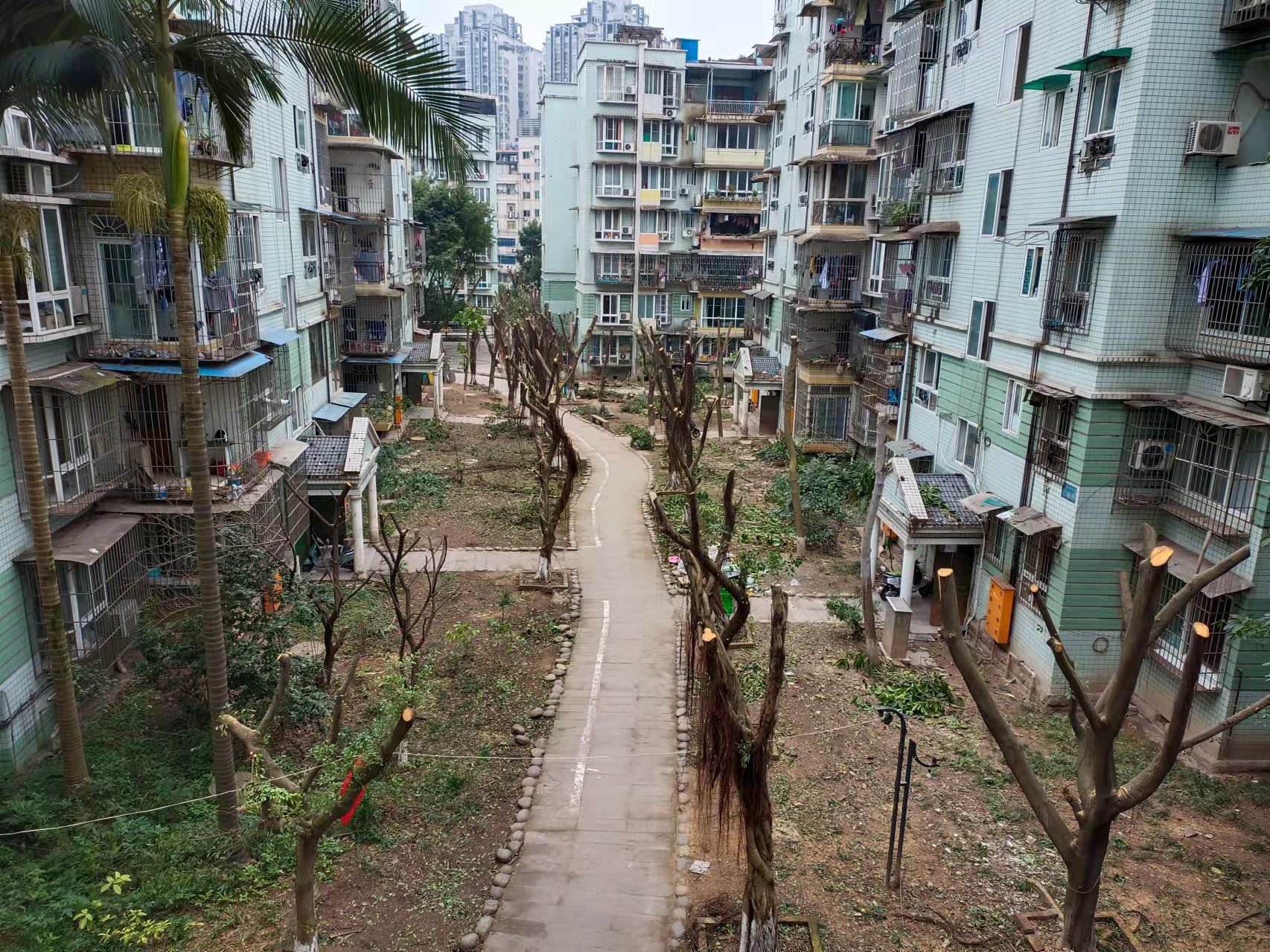 龙马潭区红星街道：探索社企合作模式反哺社会发展(图2)