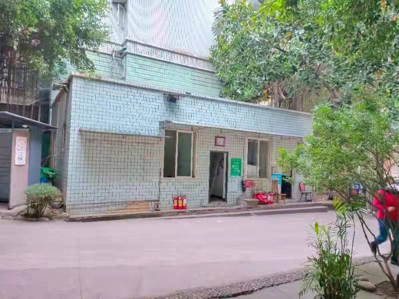 龙马潭区红星街道：探索社企合作模式反哺社会发展(图3)