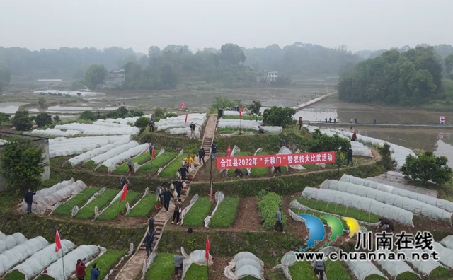 合江县：“开秧门”祈丰收，“大比武”增技能(图1)