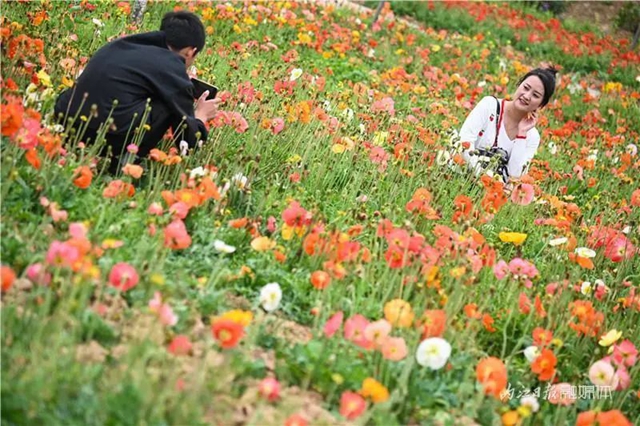 一年四季都有花赏，隆昌这个景区太安逸了！(图2)