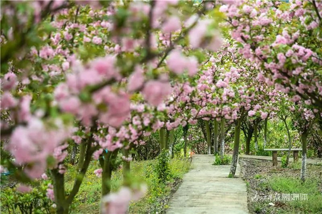 一年四季都有花赏，隆昌这个景区太安逸了！(图3)