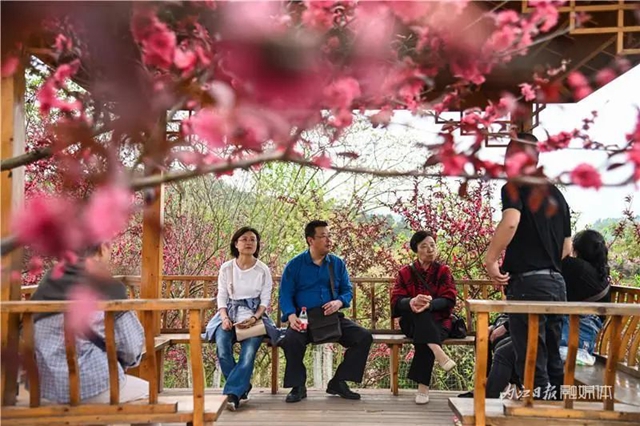 一年四季都有花赏，隆昌这个景区太安逸了！(图8)