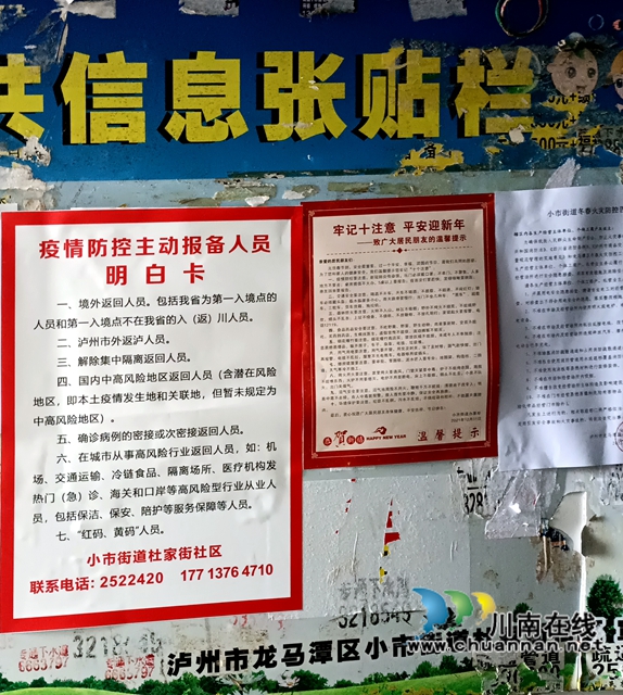 龙马潭区小市街道杜家街社区：强化宣传，筑牢疫情防控防护网 (图3)