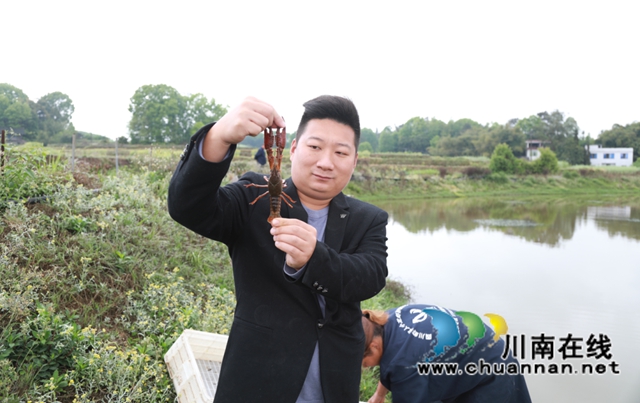 合江县白米镇：凝聚乡贤力量，探索致富之路(图1)