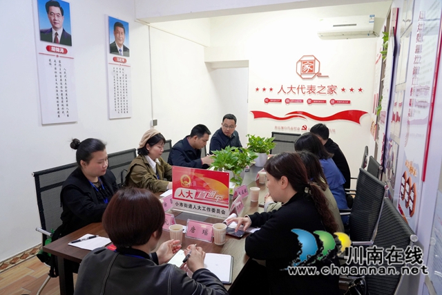 龙马潭区小市街道组织开展2022年第一季度人大代表集中视察活动(图5)