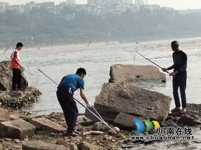 龙马潭区小市街道下大街社区开展“守护山川河流 共建美丽家园”志愿服务活动(图6)