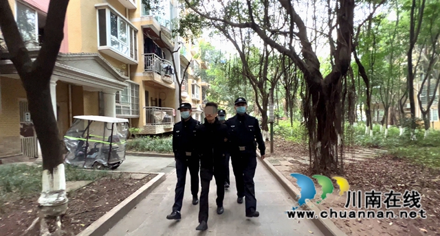 龙马潭法院：市人大代表深入执行一线，点赞法院执行工作