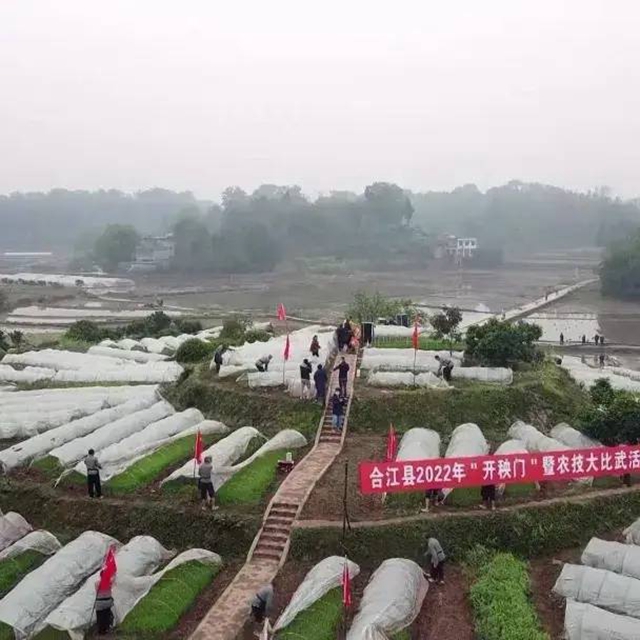 创建天府旅游名县丨万象“耕”新，总要来一趟合江白米吧！(图1)