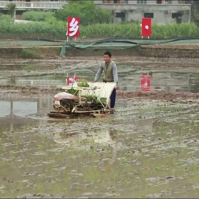 创建天府旅游名县丨万象“耕”新，总要来一趟合江白米吧！(图4)