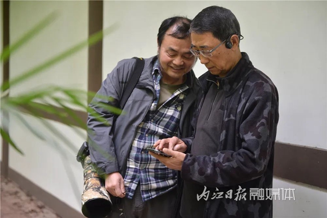 惊!它竟然也来内江了(图8) 惊!它竟然也来内江了(图8)