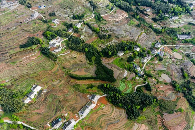 叙永丹山：万亩梯田美如画(图5)
