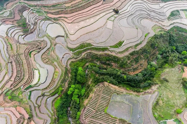 叙永丹山：万亩梯田美如画(图2)
