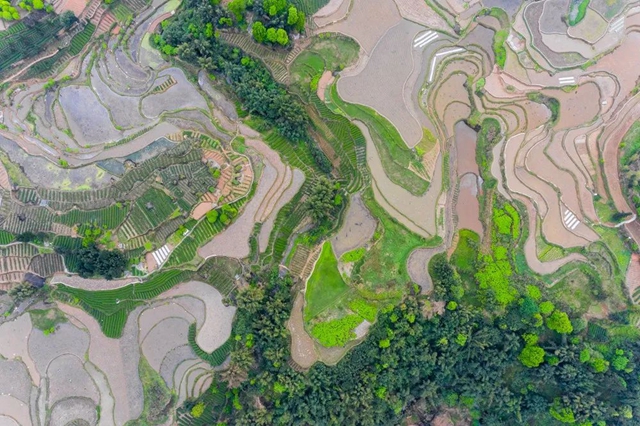 叙永丹山：万亩梯田美如画(图3)