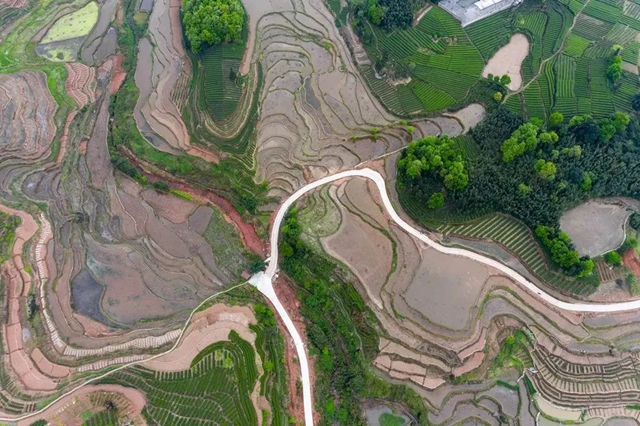叙永丹山：万亩梯田美如画(图7)