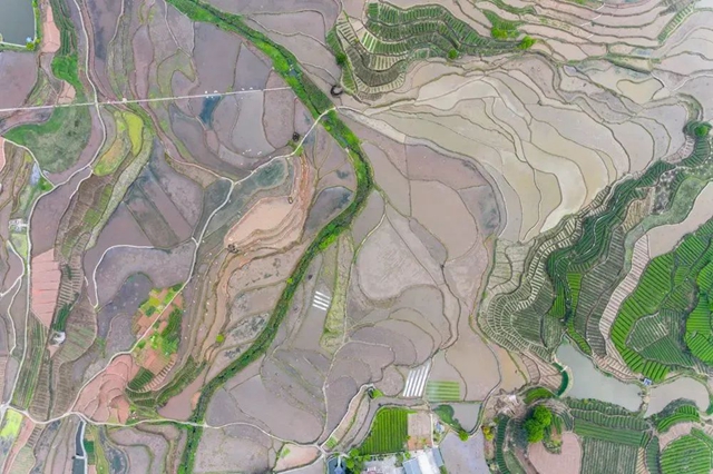 叙永丹山：万亩梯田美如画(图8)