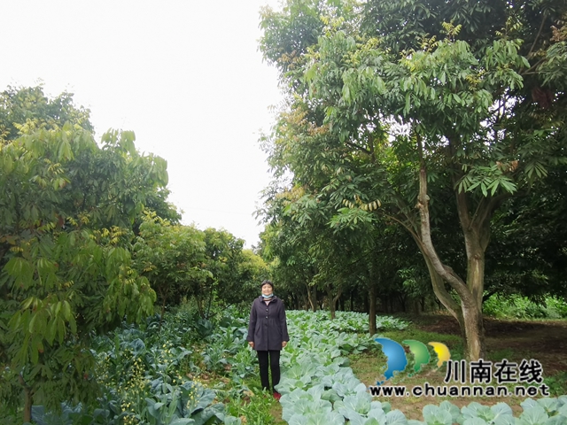 江阳区残联开展残疾人就业创业扶持项目实地验收(图2)